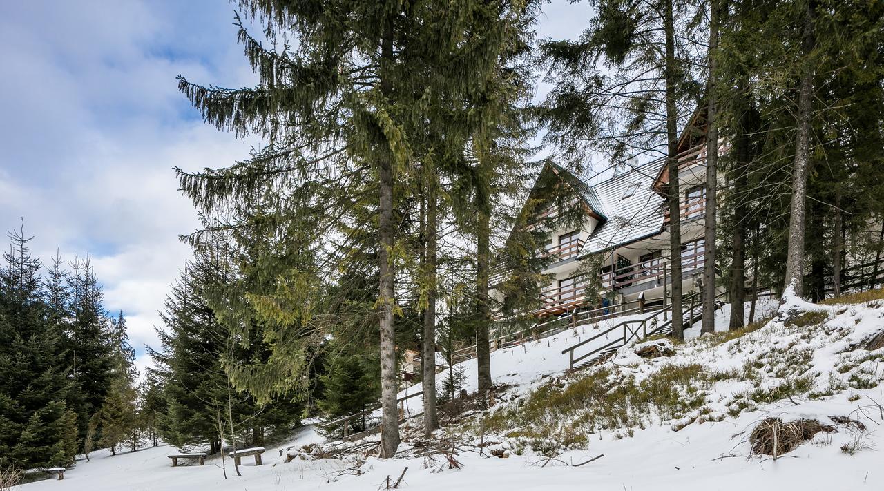 Twoja Chata Apartament Pod Lasem Zarezerwuj Na Podhalami Pl Kościelisko Exterior foto